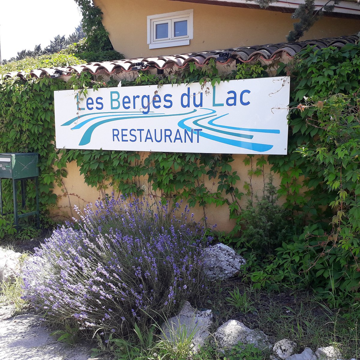 Les berges du Lac